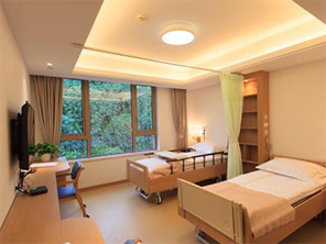 ¹Ȫ��ɽ�@�����깫Ԣ-�p���g